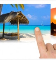 How to detect plagiarism of your online copy No Plagiarism