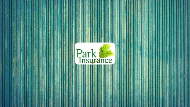 Insurance Marketing Case Study – Content Marketing for Park Insurance Insurance Marketing Case Study – Content Marketing for Park Insurance