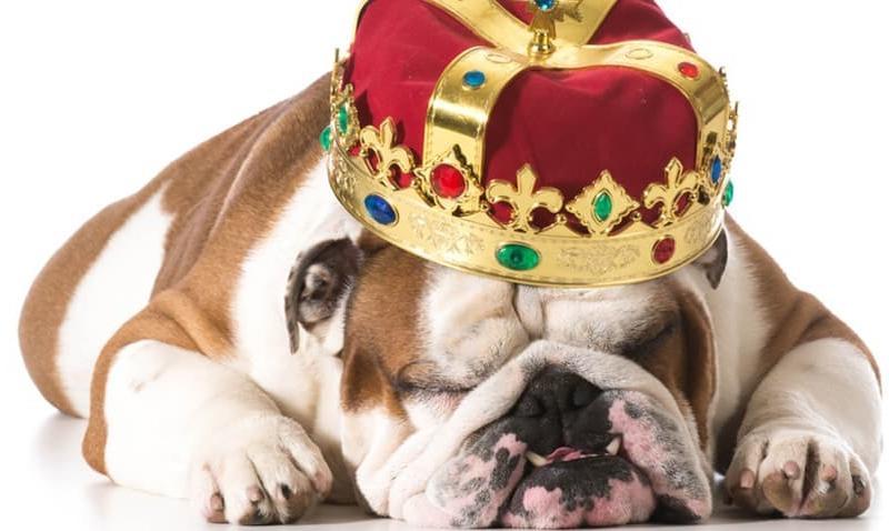 6 (Challenging) Reasons Why Content is King 6 (Challenging) Reasons Why Content is King