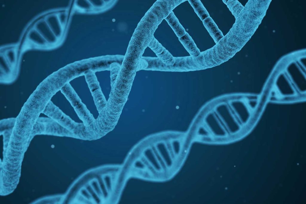 Brand DNA questions to ask - Shows a strand of DNA