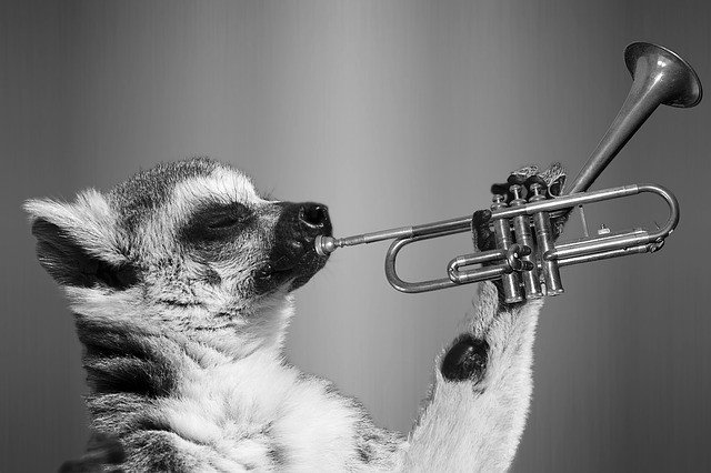 trumpet