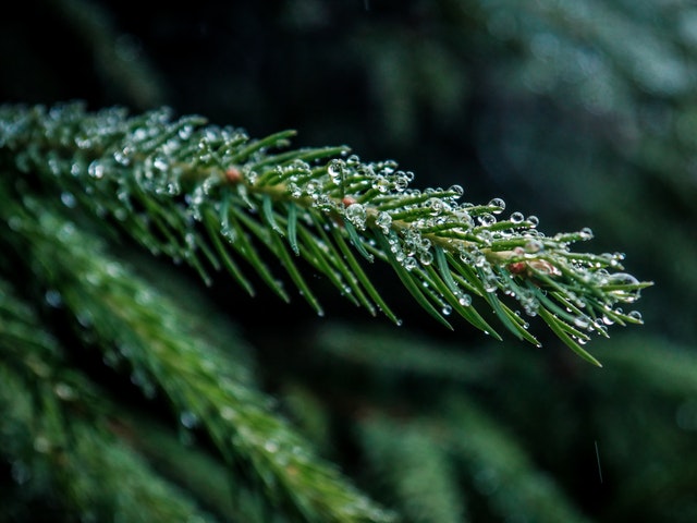 The Blog Your Blog Could Look Like: Data on the Impact of Evergreen Content The Blog Your Blog Could Look Like: Data on the Impact of Evergreen Content