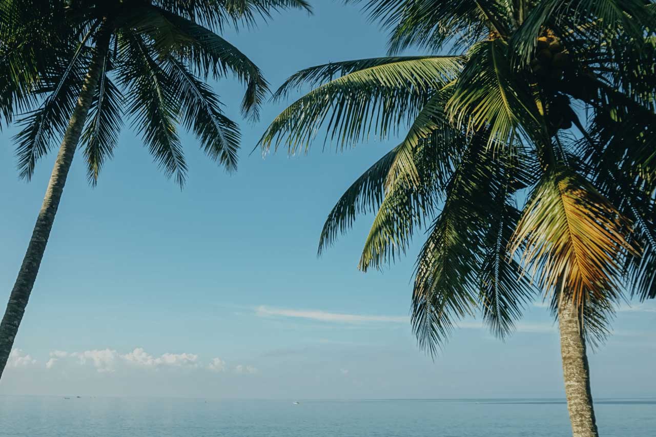 How to keep producing content during the summer