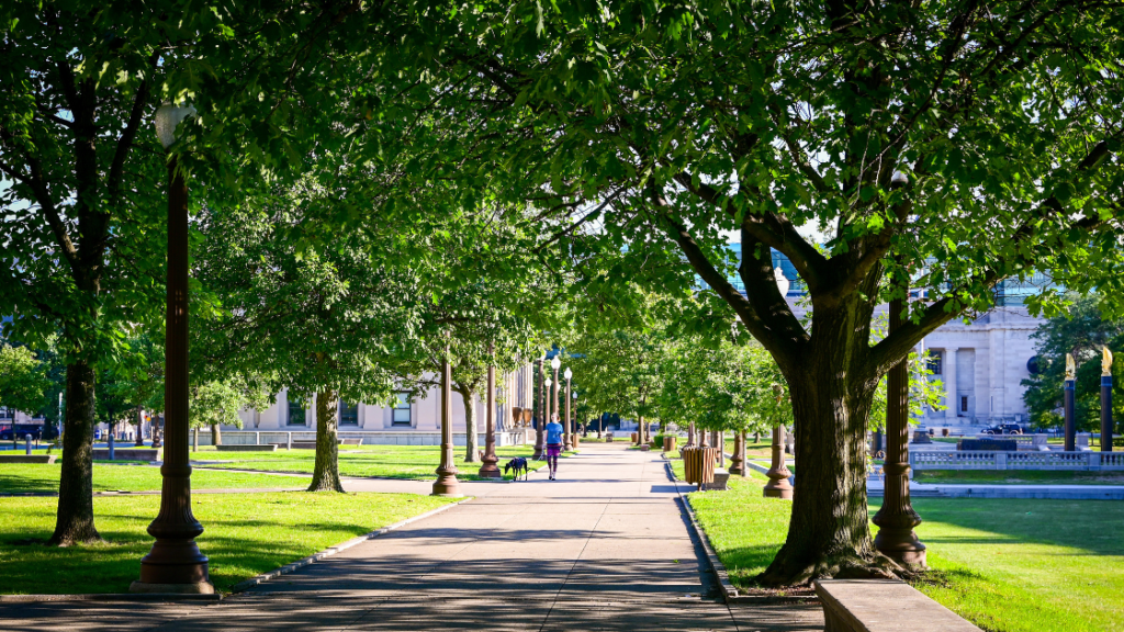 Shows a picturesque street with trees on either side