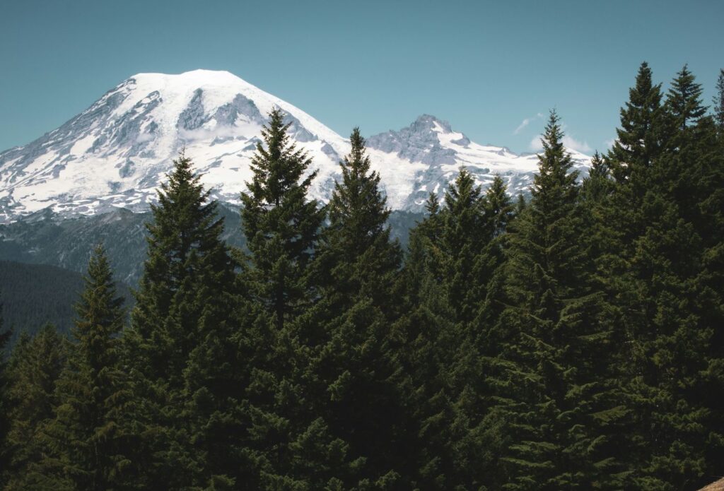 shows mountains scenery behind trees 