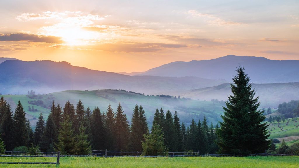 shows a landscape painting of a forest at sunset
