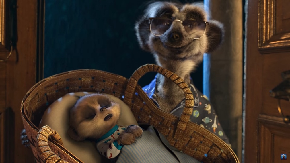 shows two meercats