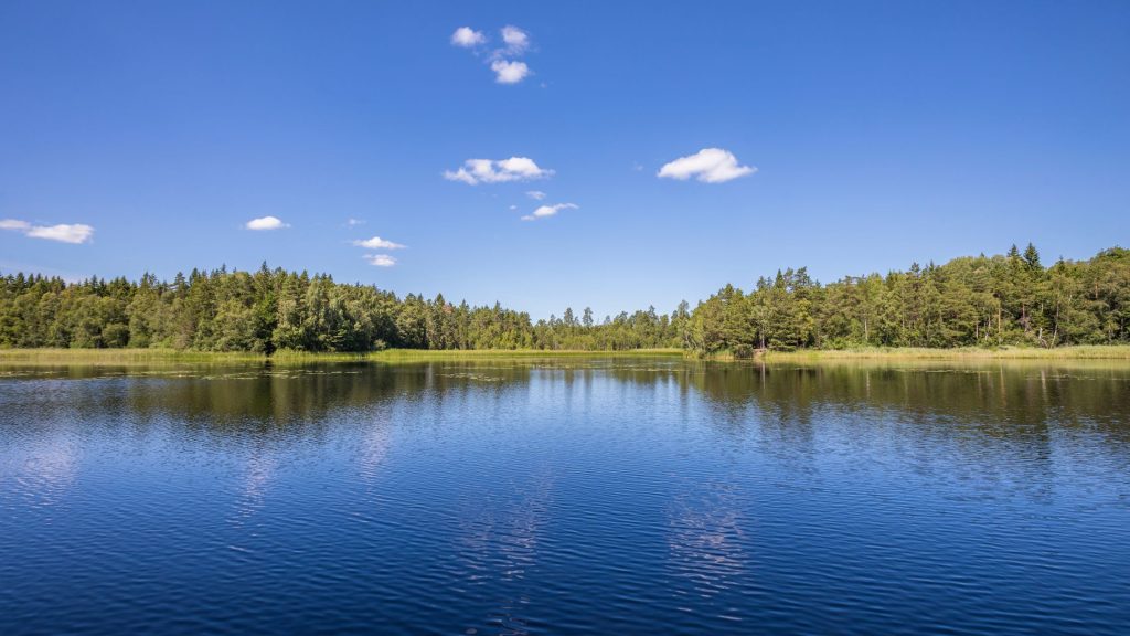 Shows a peaceful lake