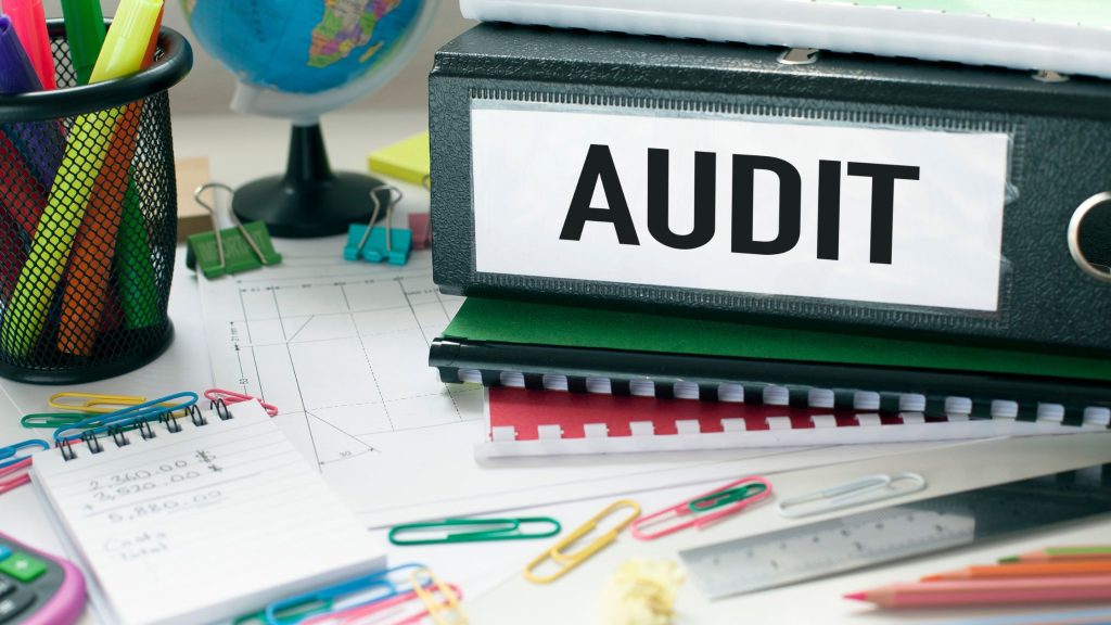 shows a green folder with the word AUDIT - A 2025 Digital Marketing Audit Guide